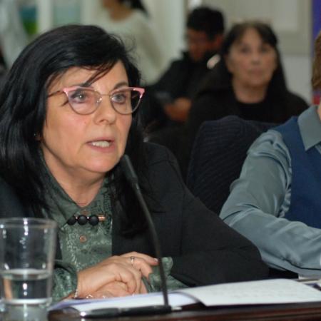 Micros: el oficialismo de Nueva Necochea cuestionó a la oposición por el tratamiento de la prórroga